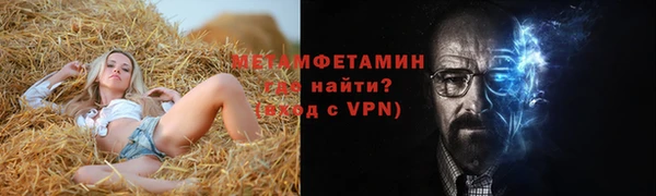 индика Надым