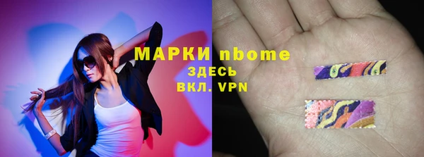 индика Надым