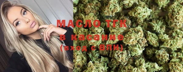 индика Надым