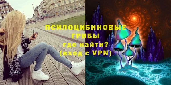 индика Надым