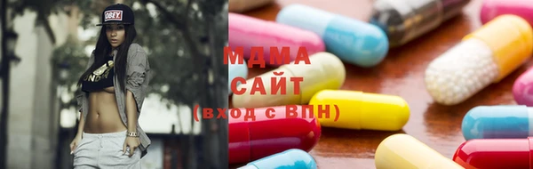 индика Надым