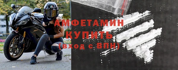 индика Надым
