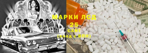 индика Надым