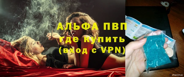 индика Надым