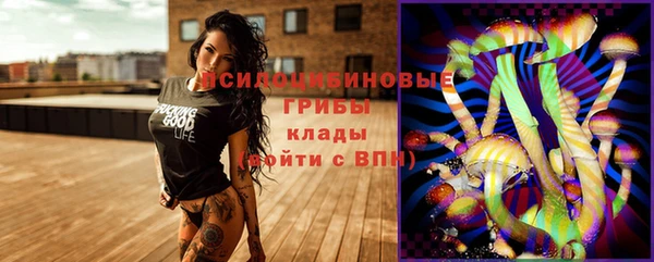 индика Надым