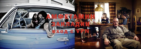 индика Надым