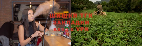 индика Надым