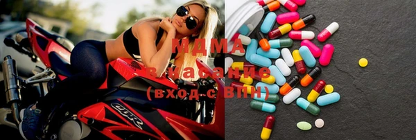 индика Надым