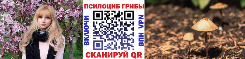 Галлюциногенные грибы Psilocybine cubensis хочу Иноземцево